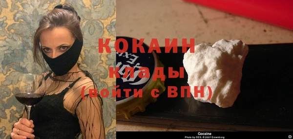 индика Беломорск