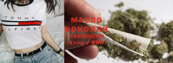 индика Беломорск