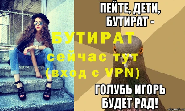 индика Беломорск