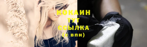 индика Беломорск