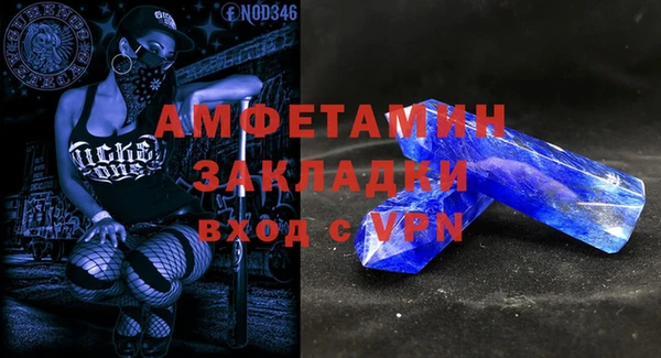 индика Беломорск