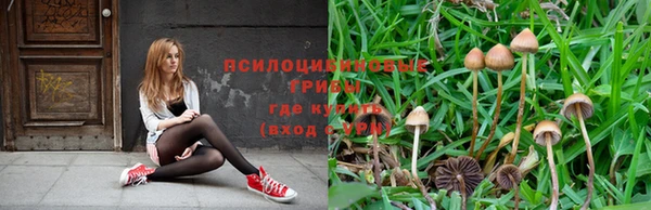 кокаин премиум Белокуриха