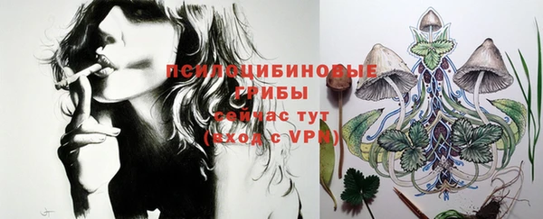 индика Беломорск