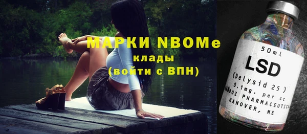 индика Беломорск