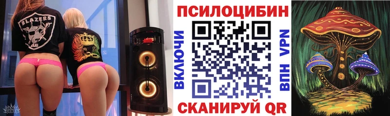 Псилоцибиновые грибы Cubensis Кущёвская